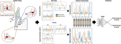 STEP-UP: Enabling Low-Cost IMU Sensors to Predict the Type of Dementia During Everyday Stair Climbing